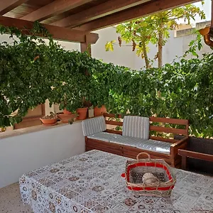 Casa Conchiglia Appartamento